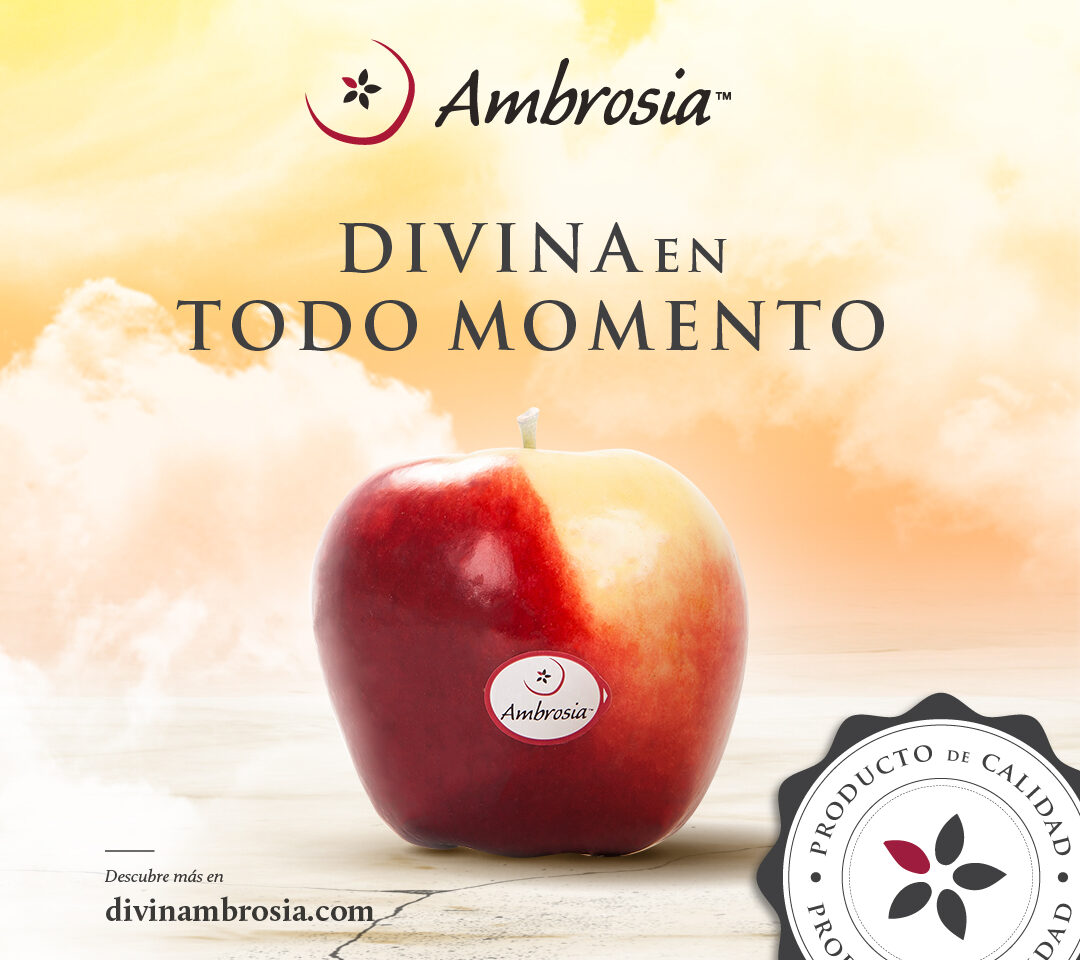 manzana de calidad